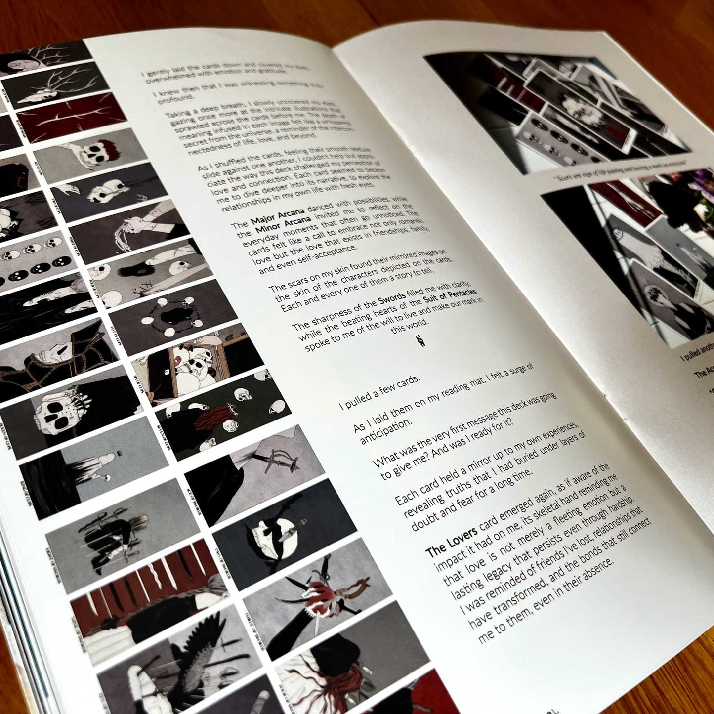 The Discombobulator -Issue N.0
