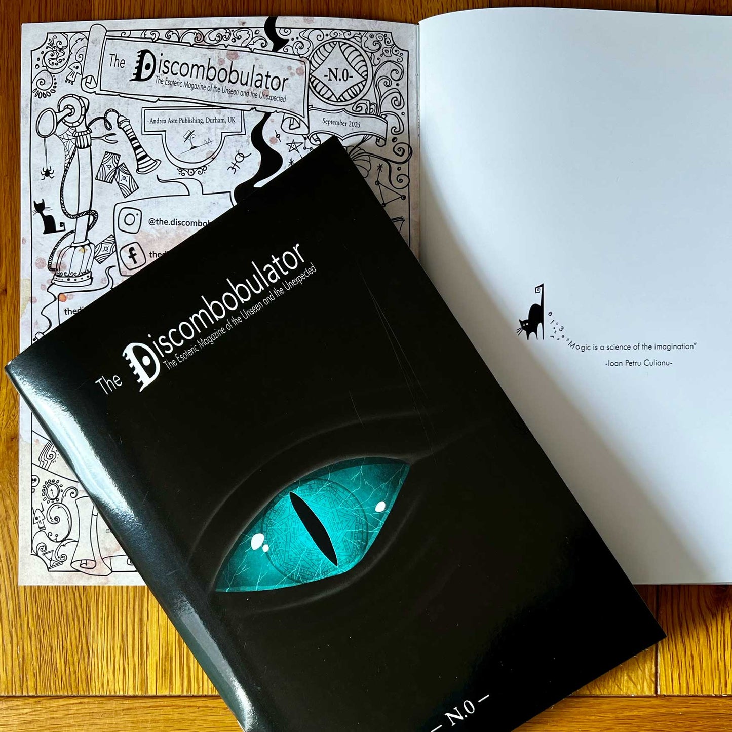 The Discombobulator -Issue N.0