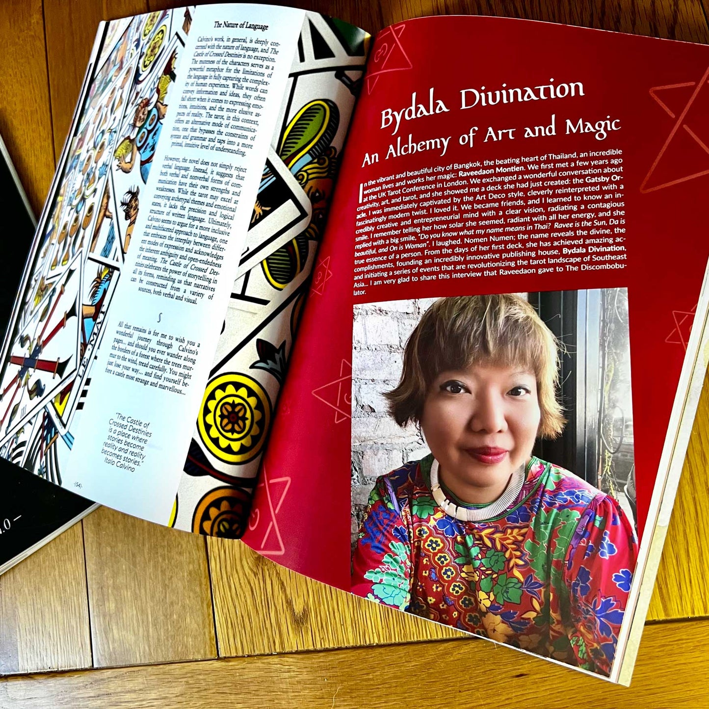The Discombobulator -Issue N.0