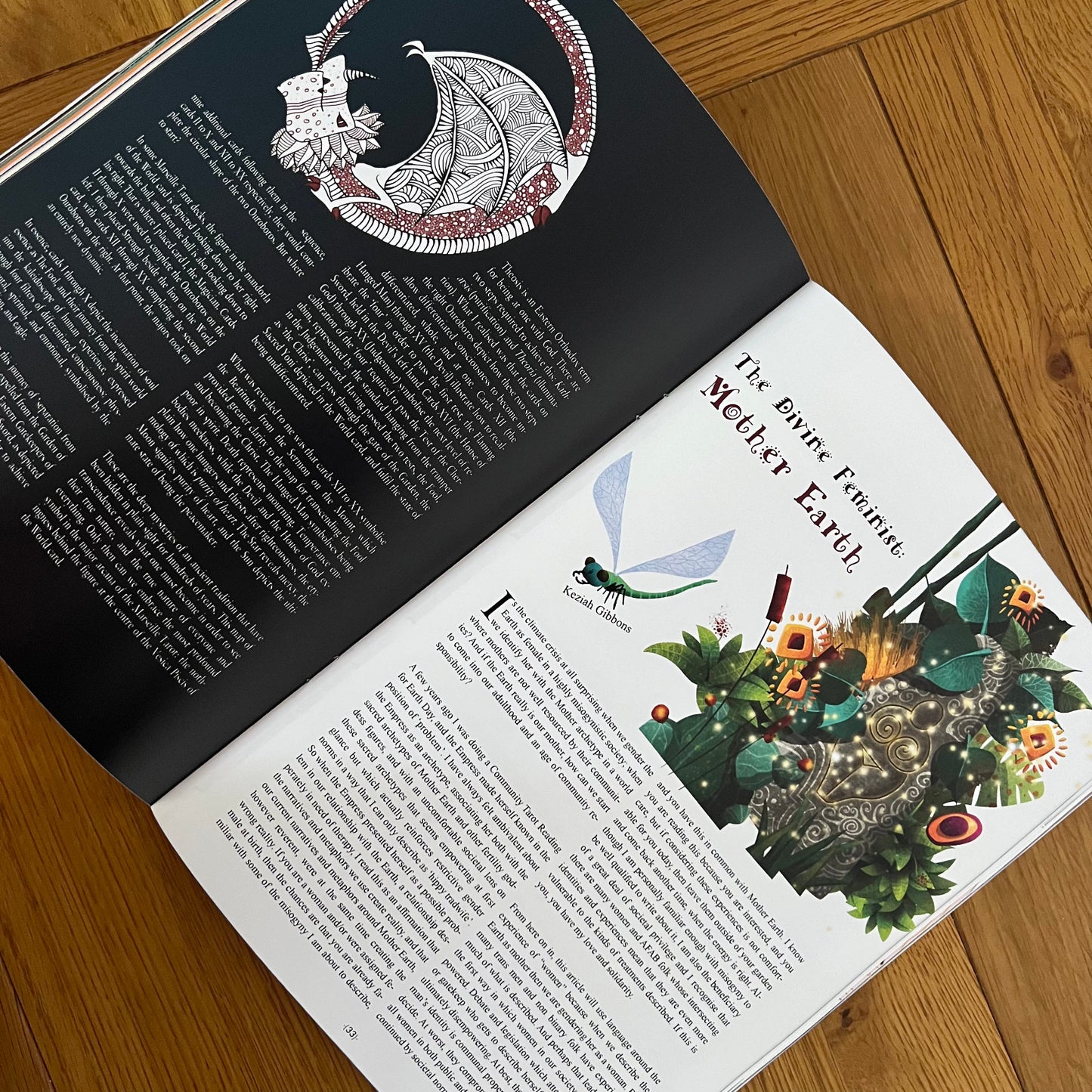 The Discombobulator -Issue N.1