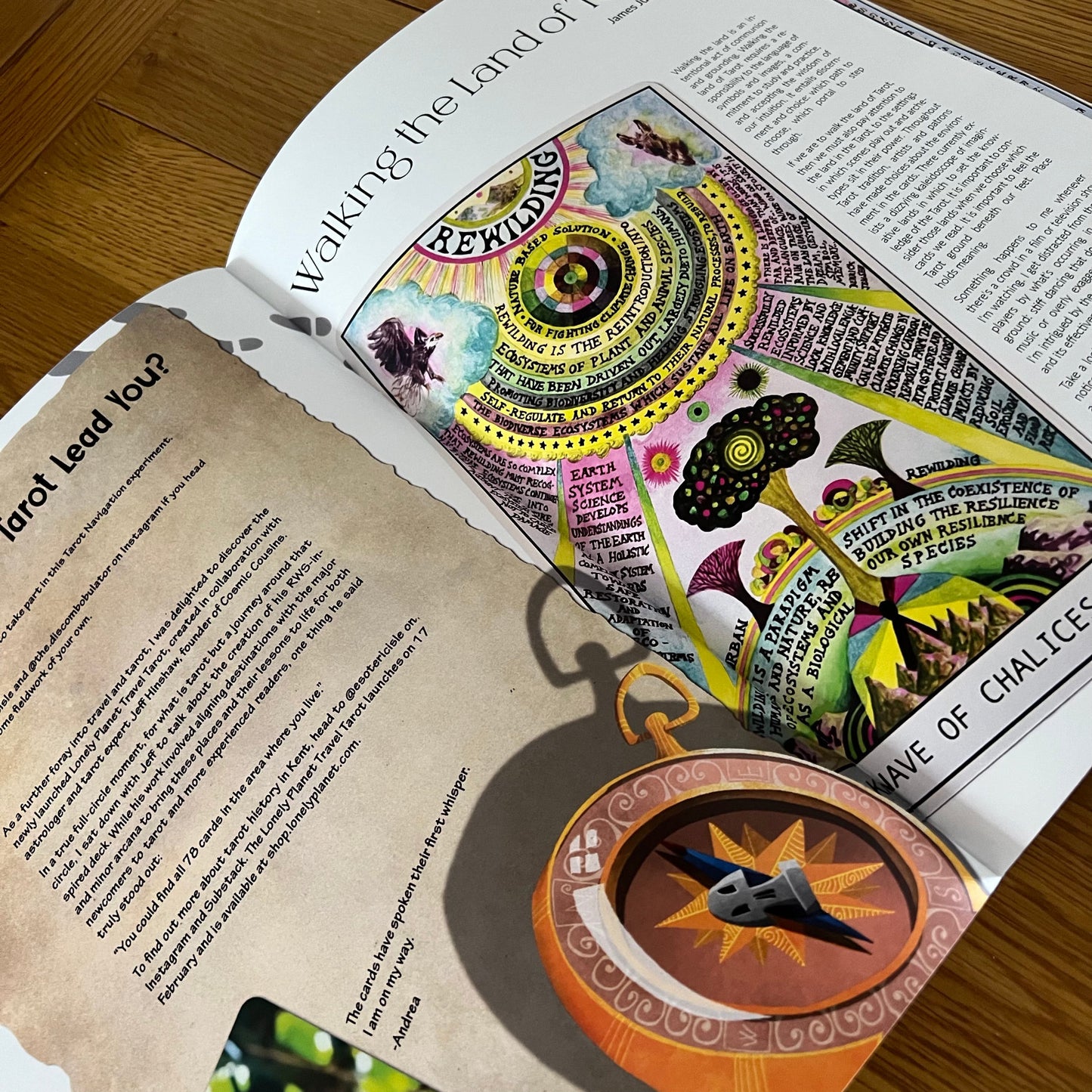 The Discombobulator -Issue N.1