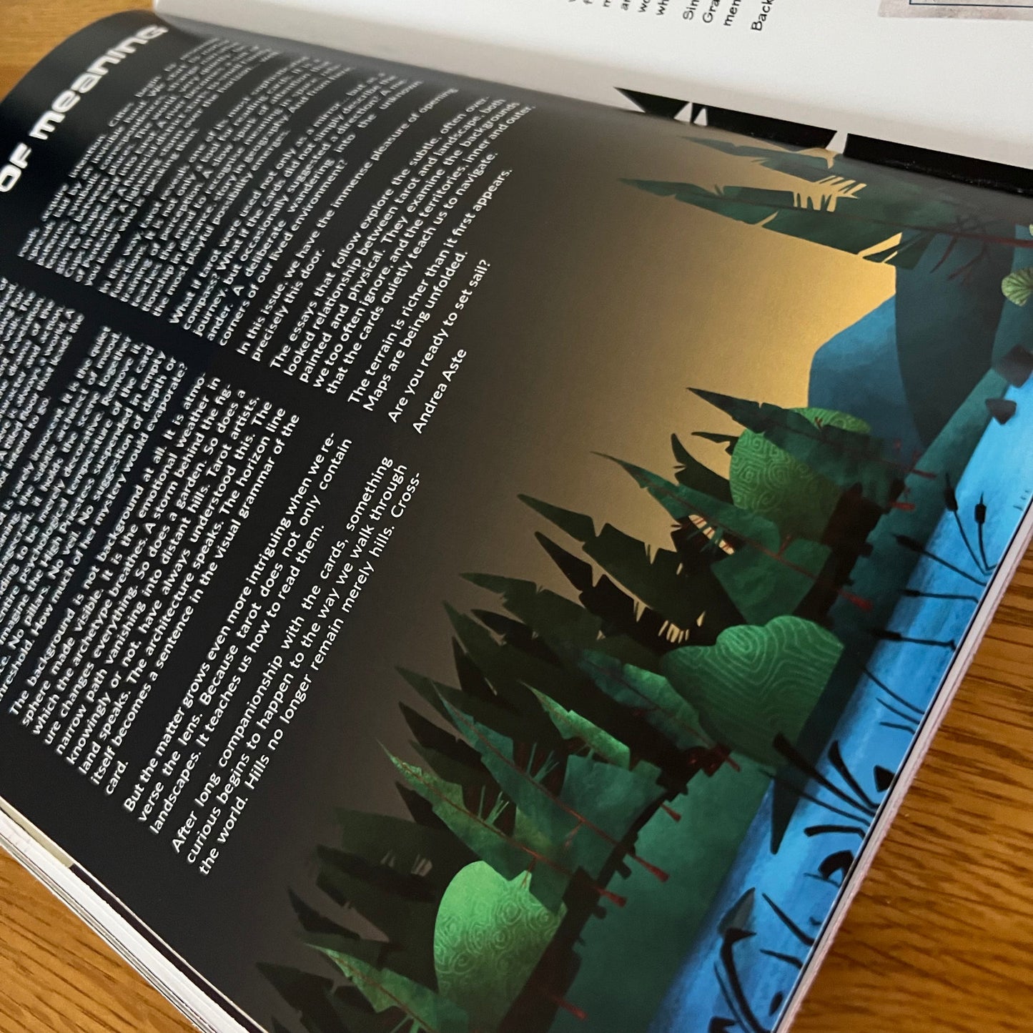 The Discombobulator -Issue N.1