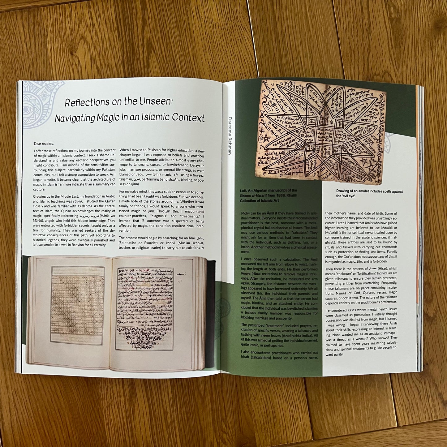 The Discombobulator -Issue N.1