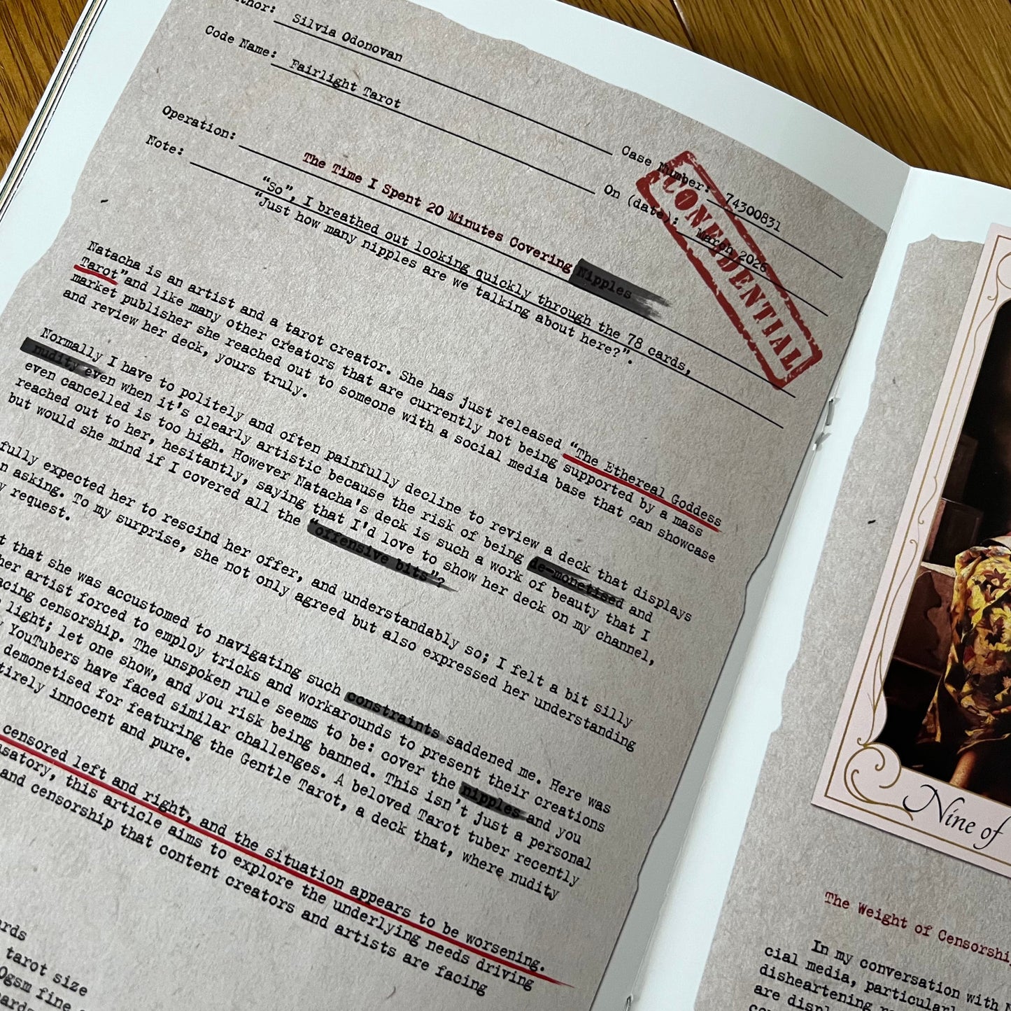 The Discombobulator -Issue N.1